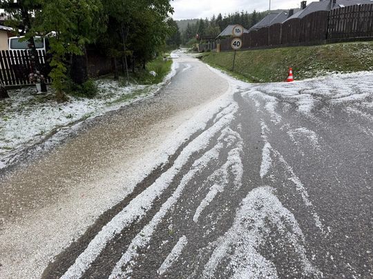 zdjęcie przedstawia kulki gradu i połamane kłosy zboża 