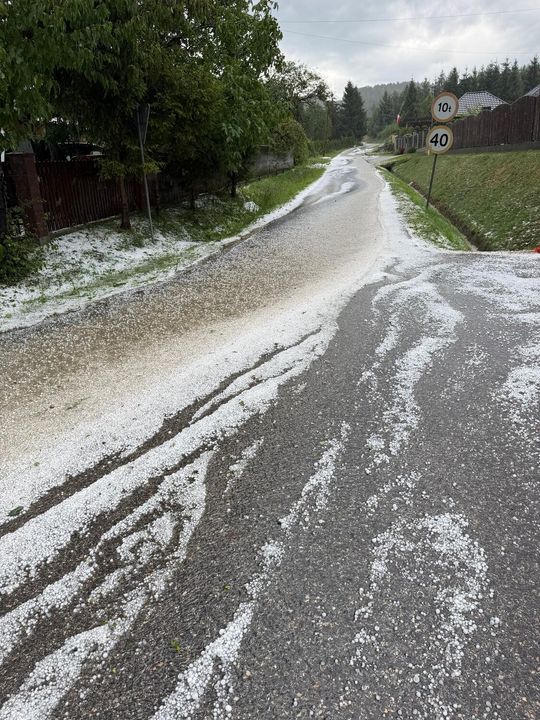zdjęcie przedstawia kulki gradu i połamane kłosy zboża 