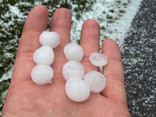zdjęcie przedstawia kulki gradu i połamane kłosy zboża 
