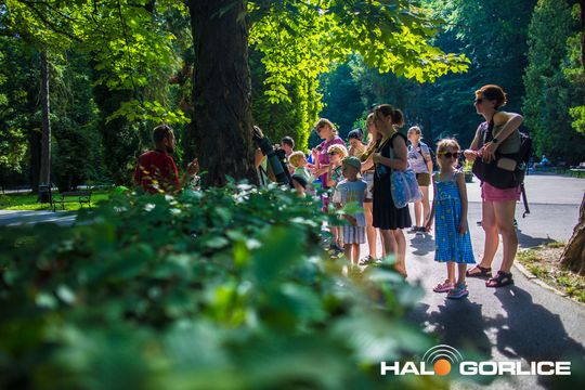 osoby podaczas spaceru ornitologicznego w parku miejskim w Gorlicach