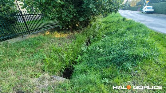 potok na osiedlu królów w gorlicach