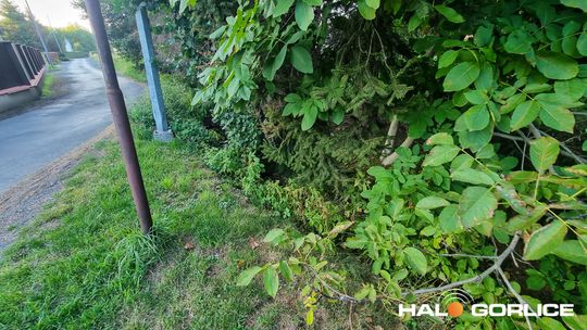 potok na osiedlu królów w gorlicach
