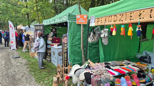 grupa ludzi przy stołach z grzybami i boksach sprzedażowych w Wysowej-Zdroju