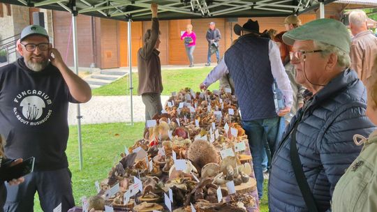 grupa ludzi przy stołach z grzybami i boksach sprzedażowych w Wysowej-Zdroju
