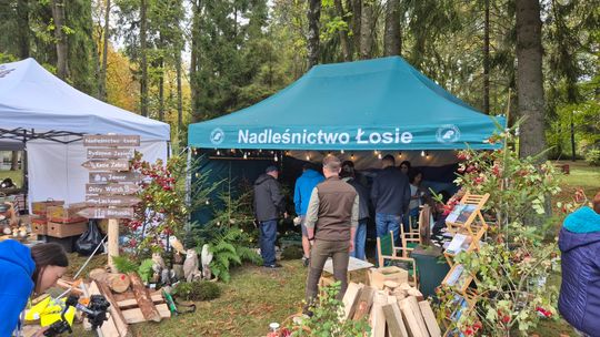 grupa ludzi przy stołach z grzybami i boksach sprzedażowych w Wysowej-Zdroju