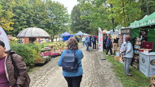 grupa ludzi przy stołach z grzybami i boksach sprzedażowych w Wysowej-Zdroju