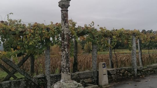 Wyprawa Artura Grądalskiego Camino de Santiago (30 października 2026)
