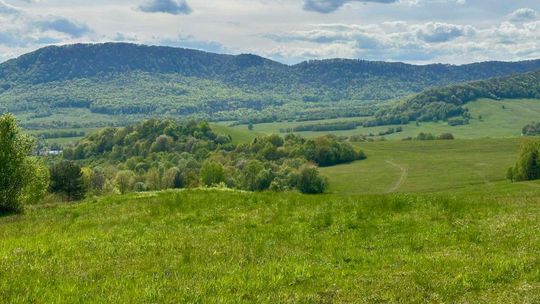 Zdjęcie przedstawia krajobraz Beskidu Niskiego