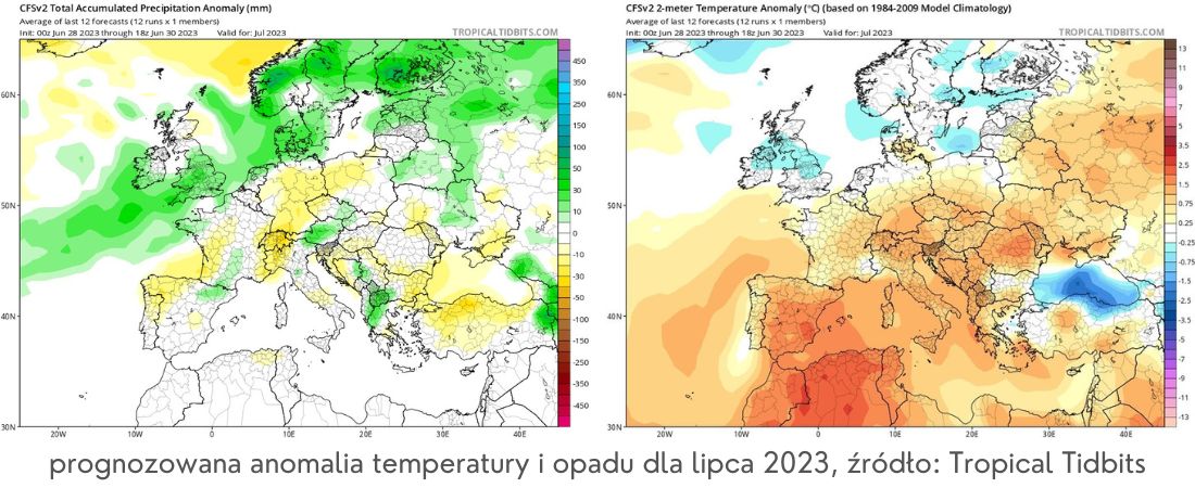 prognozowana anomalia temperatury i opadu dla lipca 2023, źródło: Tropical Tidbits